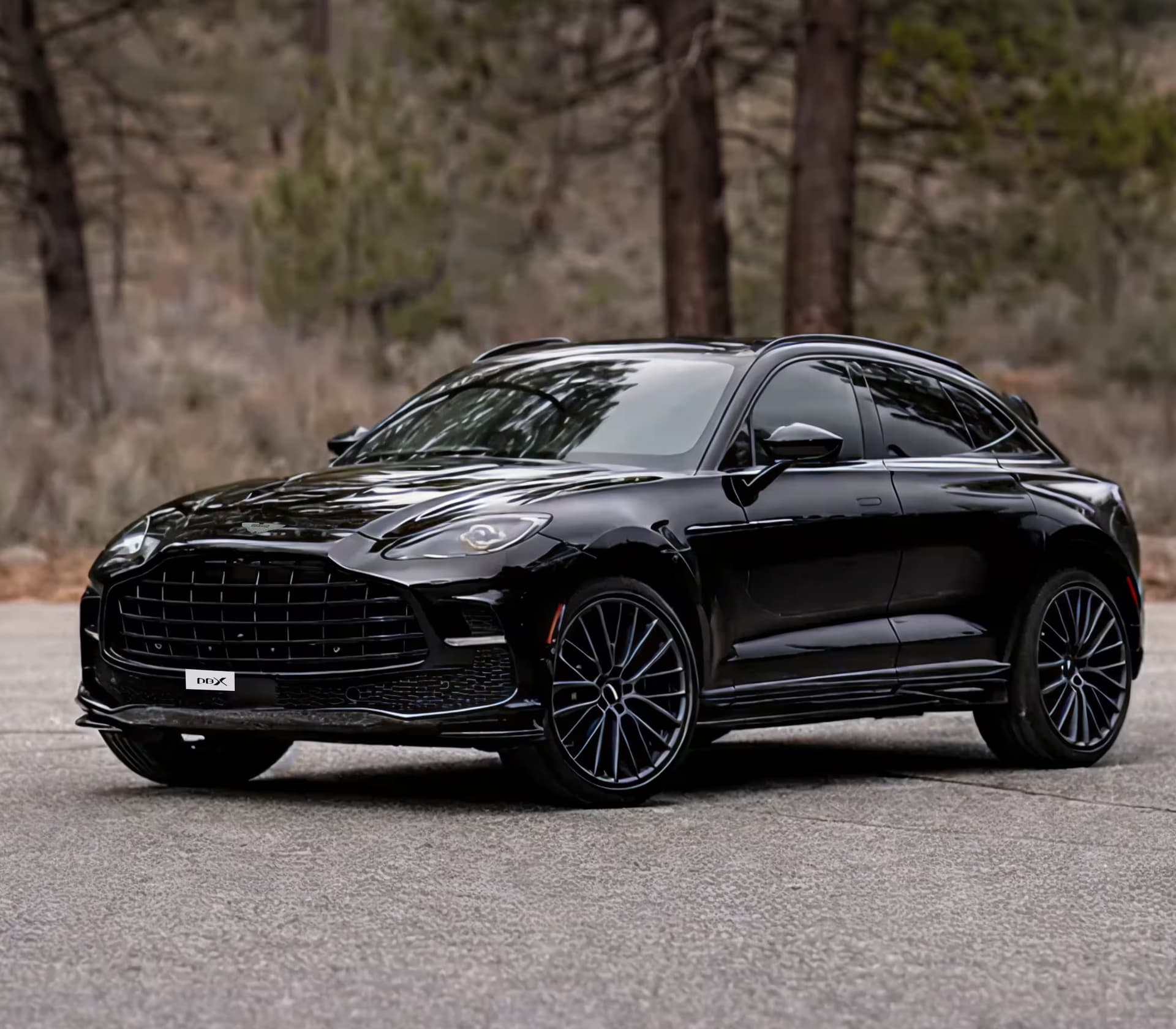 Aston Martin DBX image